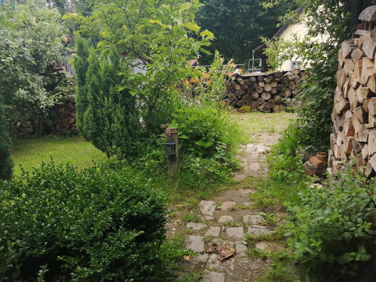 Zielony Domek W Sztynorcie Sztynort Exteriör bild